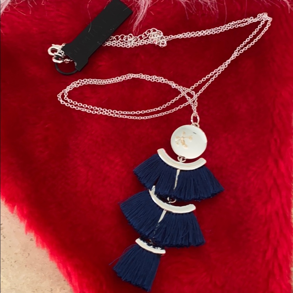 Silver necklace with navy tassel